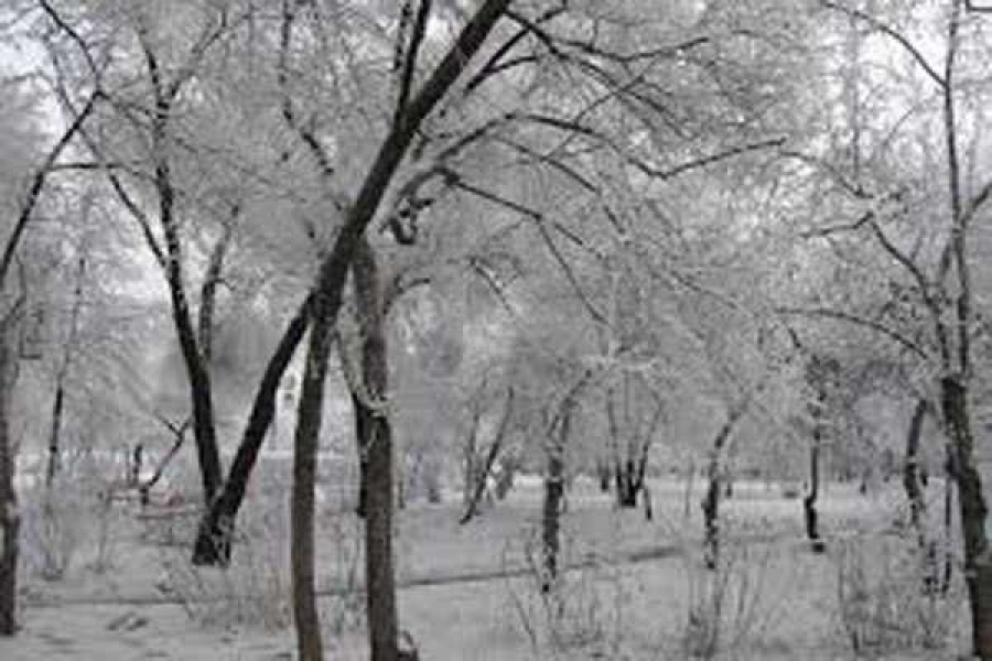 Фото: http://xn--80aaac0ct.xn--p1ai/