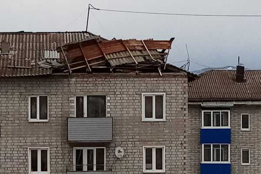 Фото: Татьяна Лисенкова