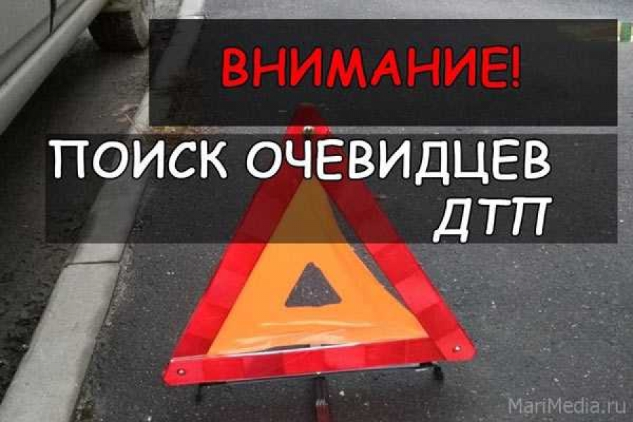 Фото: https://www.marimedia.ru/