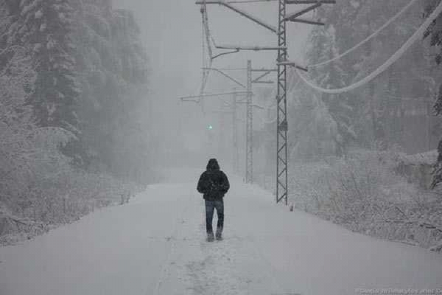 Фото zen.yandex.ru