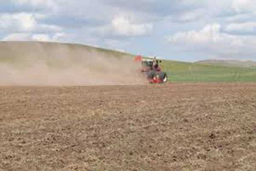 Фото с сайта https://agrovesti.net/