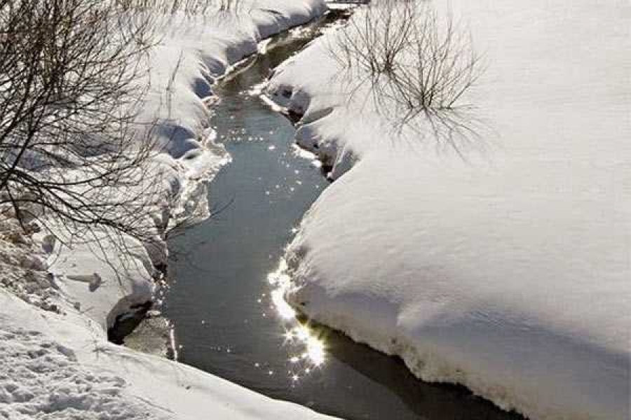 Фото: http://tigra23.blogspot.com/