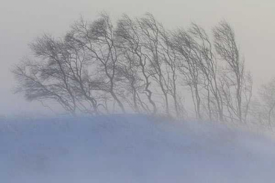 Фото: Пресс-служба МЧС России по Хакасии