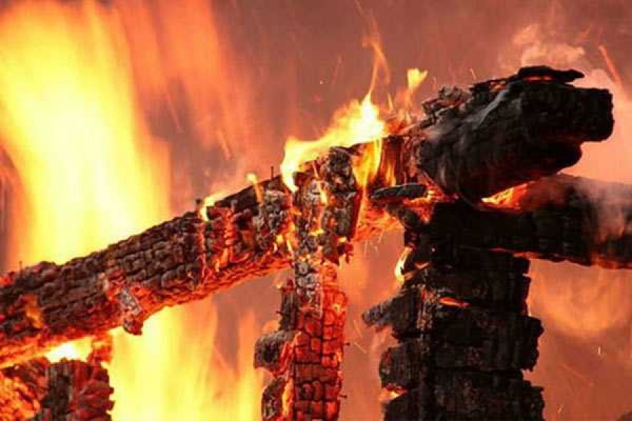 Фото из открытых источников