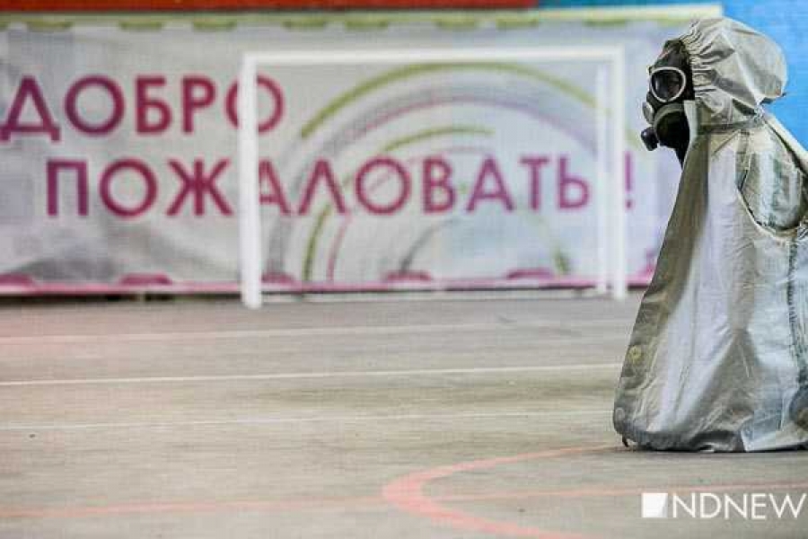 Фото с сайта https://newdaynews.ru/