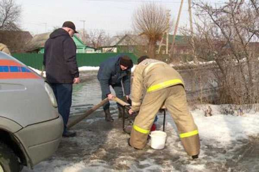 Фото: https://www.penzainform.ru/