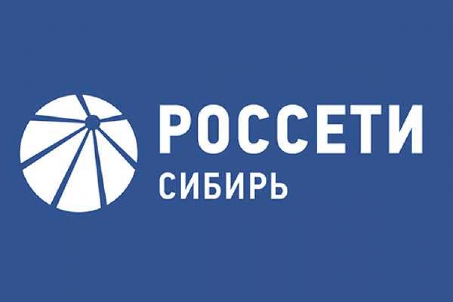 Фото департамента по связям с общественностью энергохолдинга «Россети Сибирь»