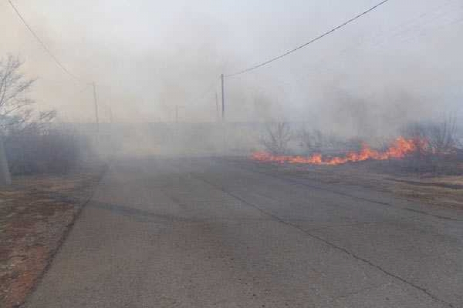 Фото: администрация Абакана