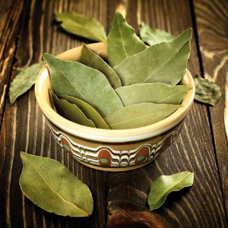 Фото: pixabay.com,  Shutterstock/Fotodom