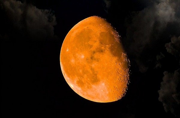 Фото: pixabay.com