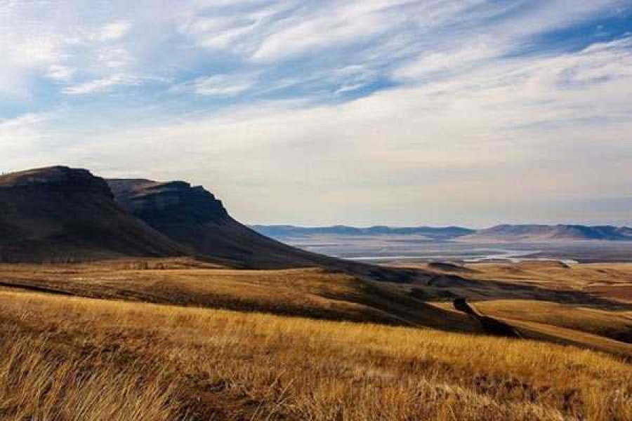 Фото: Иван Иванов / etosibir.ru