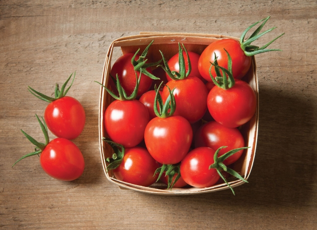 Фото: Shutterstock/Fotodom