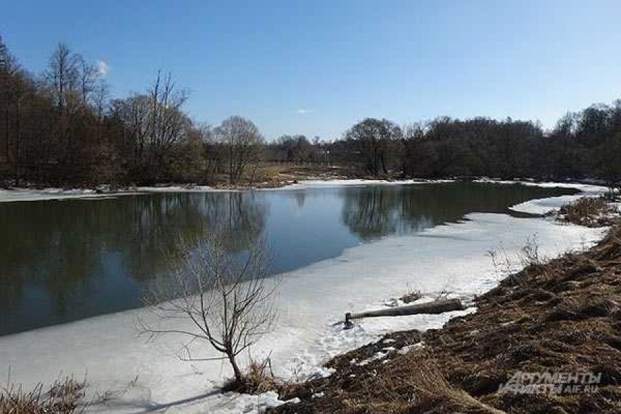 Фото: https://aif.ru/