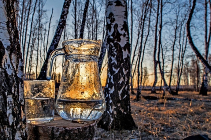 Фото: sibkray.ru