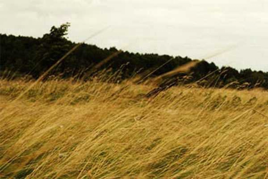  Пресс-служба ГУ МЧС России по Хакасии