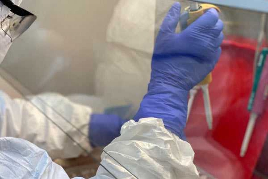 Фото: https://gornovosti.ru/