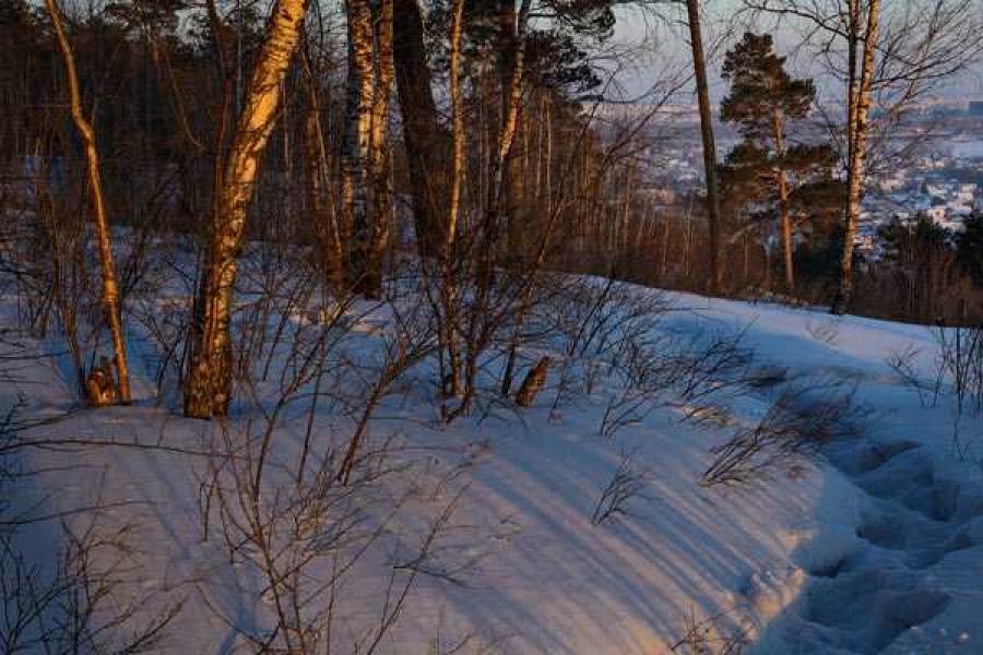  Фото: gazeta.a42.ru