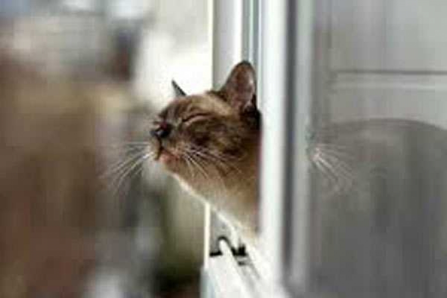 Фото: http://xn----8sbef8axpew9i.xn--p1ai/
