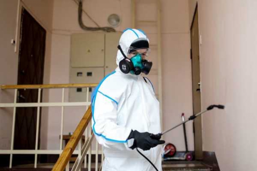 Фото: Сергей Бобылев/ТАСС