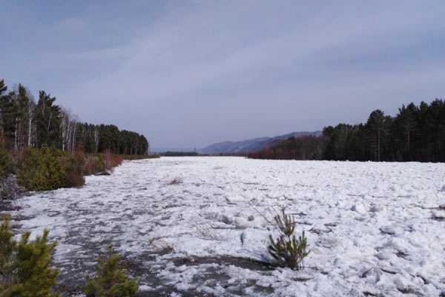 Фото: Татьяна Лисенкова