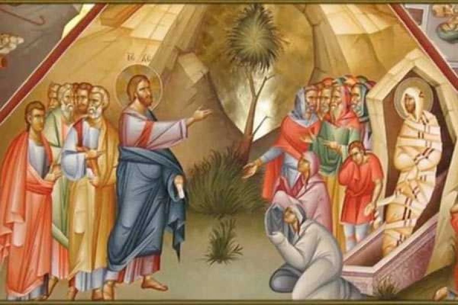 Фото: https://pronedra.ru/