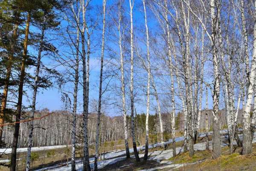  Фото: meteonova.ru 