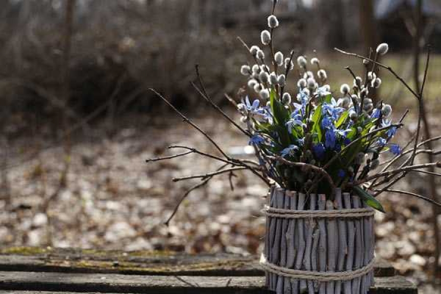 Фото: pixabay.com