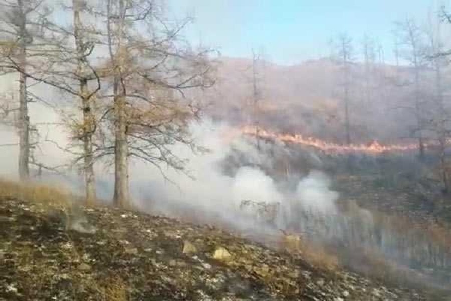 Фото: пресс-служба Министерства природных ресурсов и экологии Республики Хакасия