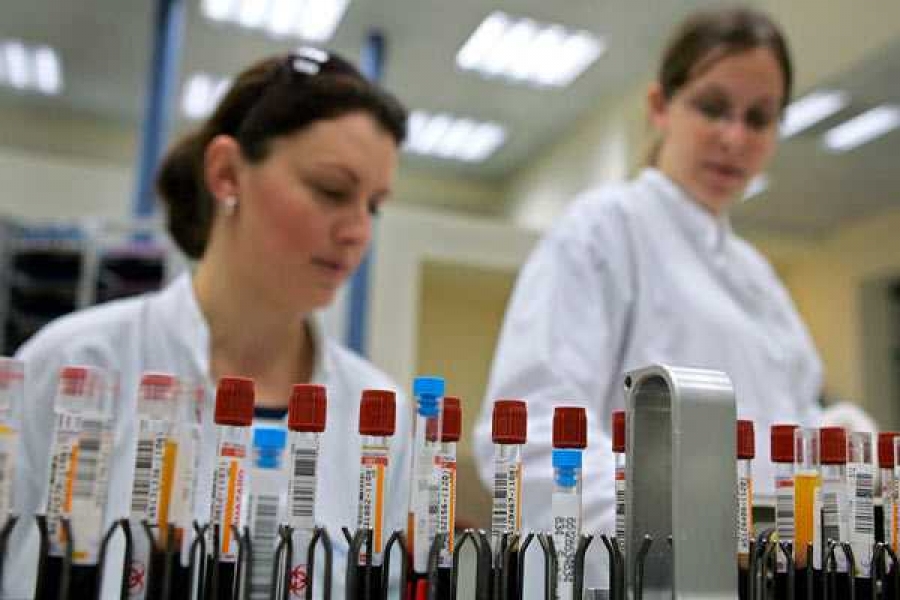 Фото: David Silverman / Getty Images   