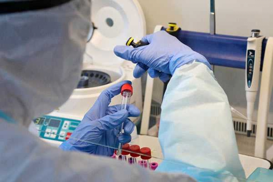 Фото: Павел Кононов / РИА Новости   