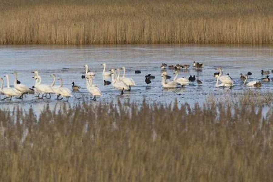 Фото Минприроды РХ