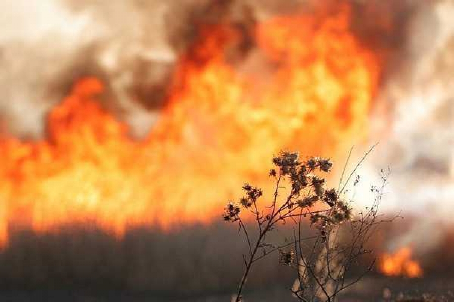 Фото: 19.mchs.gov.ru