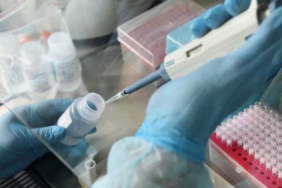 Фото: РИА Новости