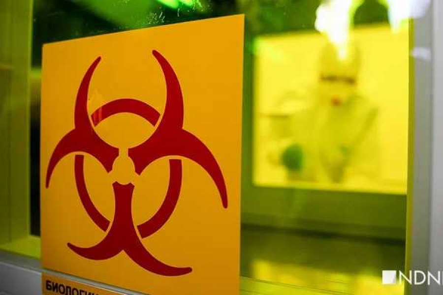 Фото: newdaynews.ru