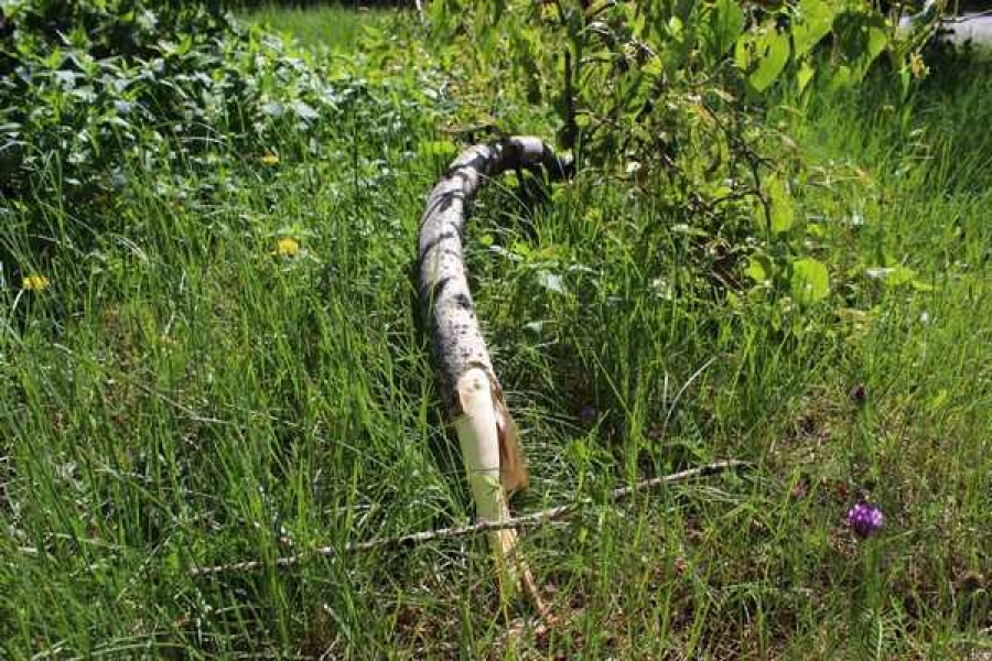 Фото: абакан.рф