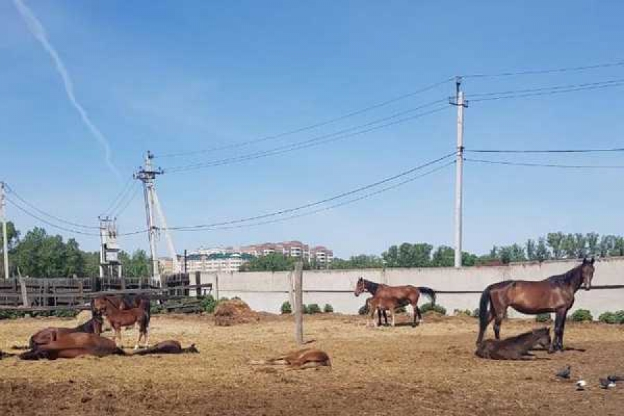 Фото: Минимущества РХ