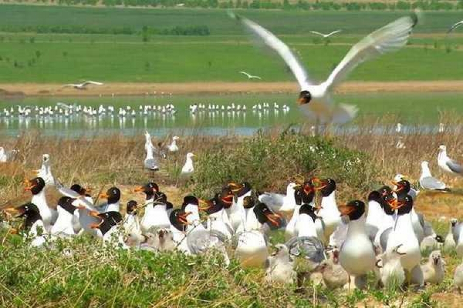 Фото: Минприроды РХ