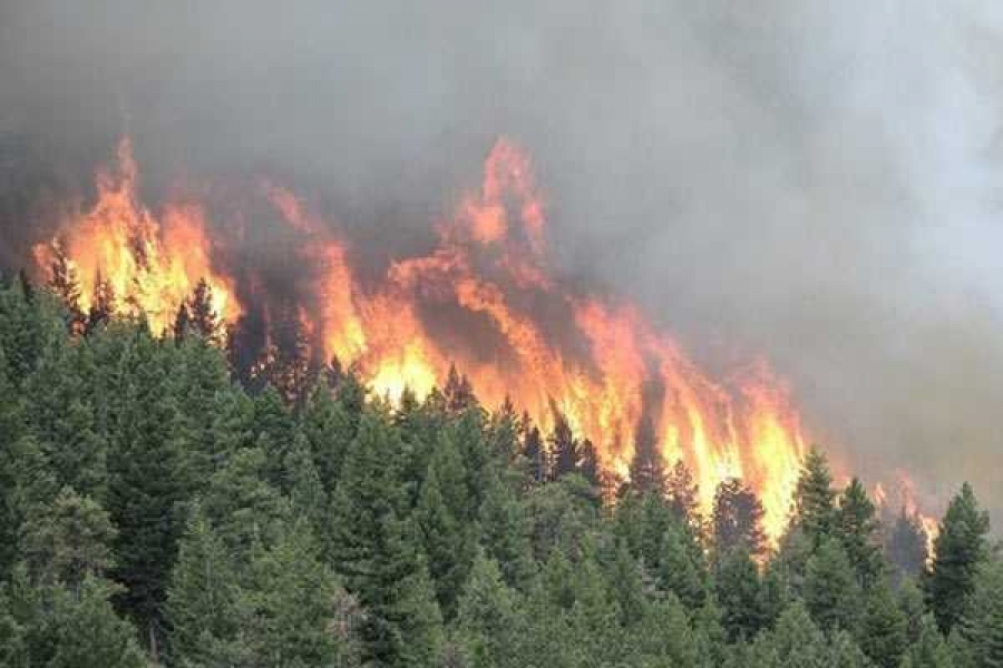 Фото portal23.sibadi.org