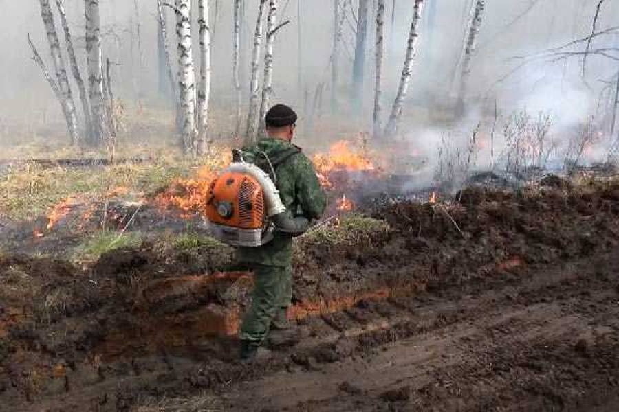 Фото: пресс-служба Минприроды Хакасии