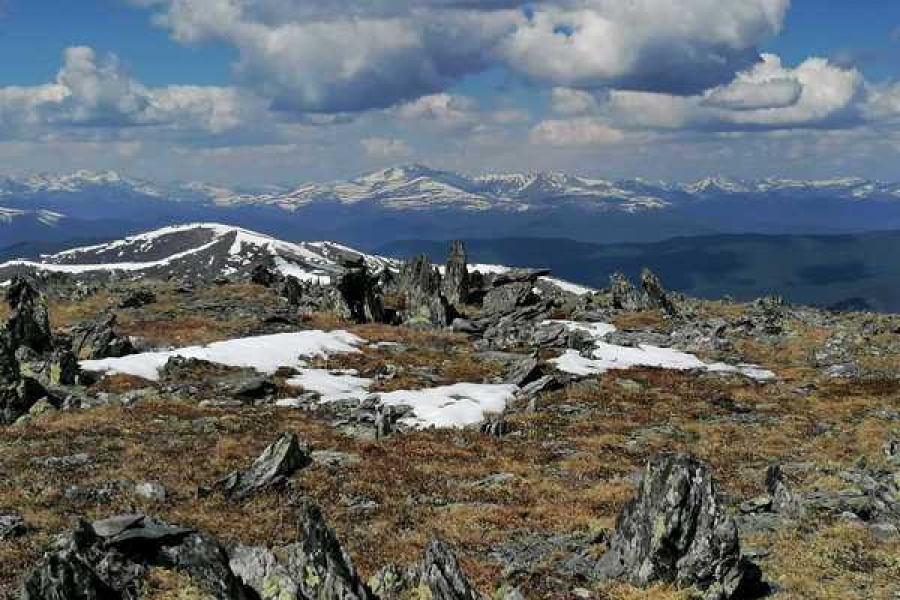 Фото: zapovednik-khakassky.ru