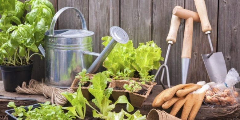 Фото: pixabay.com/из архива, rsute.ru