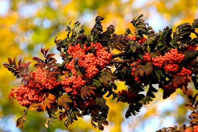 Фото: pixabay.com/из архива, rsute.ru