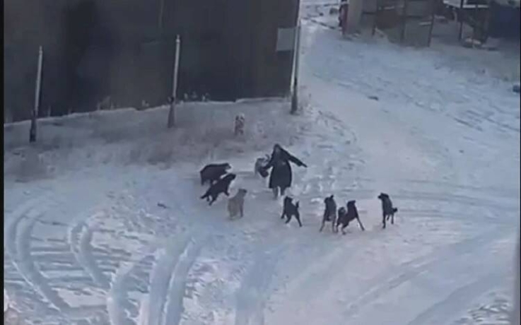 Фото: KR.RU/архив, dela.ru