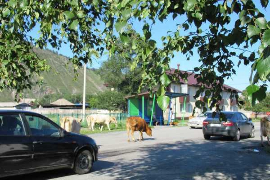 Фото автора