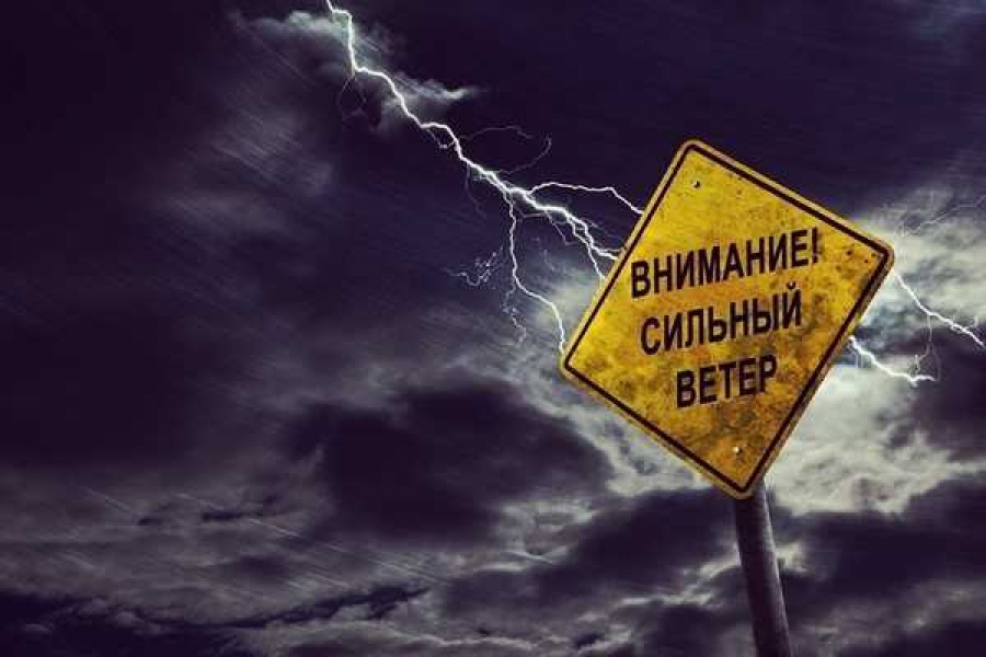 Фото: 72.mchs.gov.ru