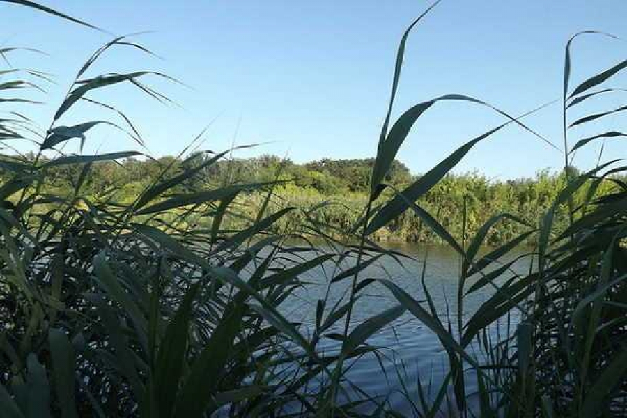 Фото Дмитрия Ремизова, ИА «Росбалт»