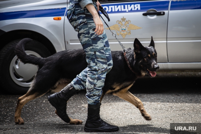 Фото: Илья Московец © URA.RU