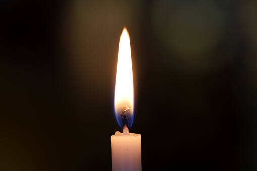 Фото: Shutterstock/Fotodom, pixabay.com/из архива