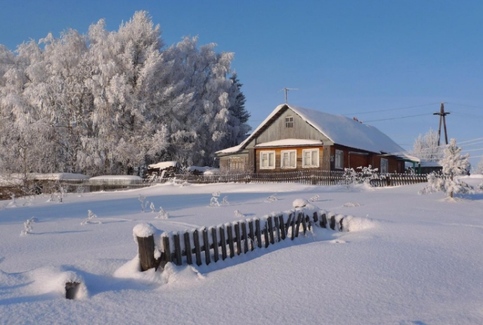 Фото: pixabay.com/из архива, rsute.ru