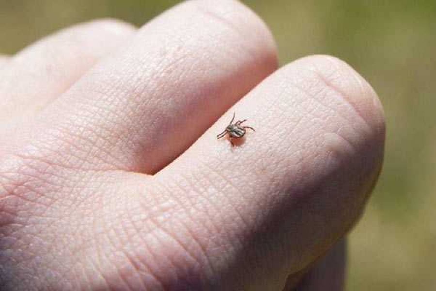  Фото: beta.nv86.ru